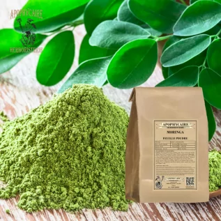 Moringa leaf powder – Moringa oleifera | Apophycaire
