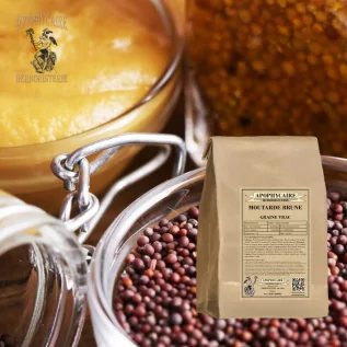 Moutarde brune stimulant naturel utilisé en alimentation, en cataplasme chauffant - Apophycaire