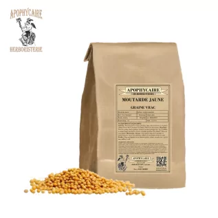 Yellow mustard loose seeds – Sinapis alba | Apophycaire