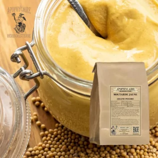 Yellow mustard seed powder – Sinapis alba | Apophycaire