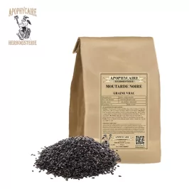 Black mustard loose seeds – Brassica nigra | Apophycaire