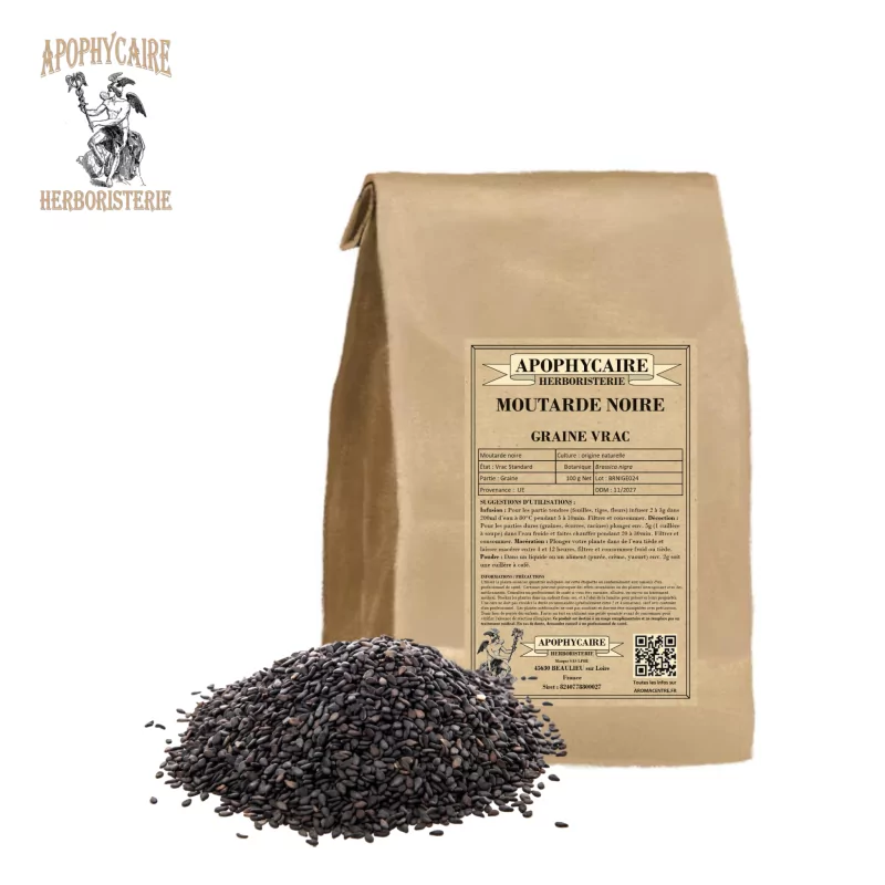 Loose black mustard (Brassica nigra) - Apophycaire