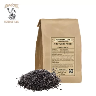 Black mustard loose seeds – Brassica nigra | Apophycaire