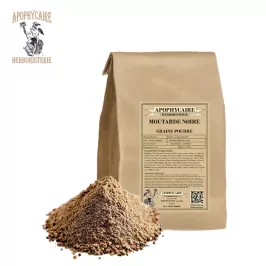 Moutarde noire graine poudre (Brassica nigra) - Apophycaire