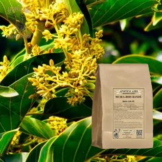 Muira puama (banded wood) cut wood – Ptychopetalum | Apophycaire