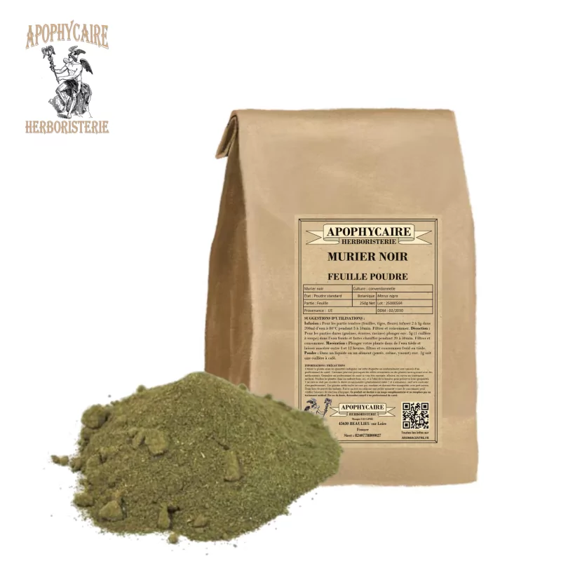 Polvo de hojas de morera negra (Morus nigra) - Apophycaire