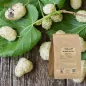 White mulberry loose fruit (Morus alba) - Apophycaire