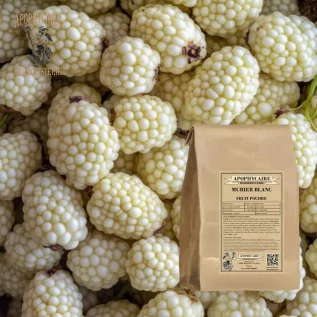 Polvo de fruto de morera blanca – Morus alba | Apophycarius