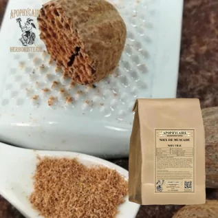 Loose Nutmeg (Myristica fragans) - Apothecary