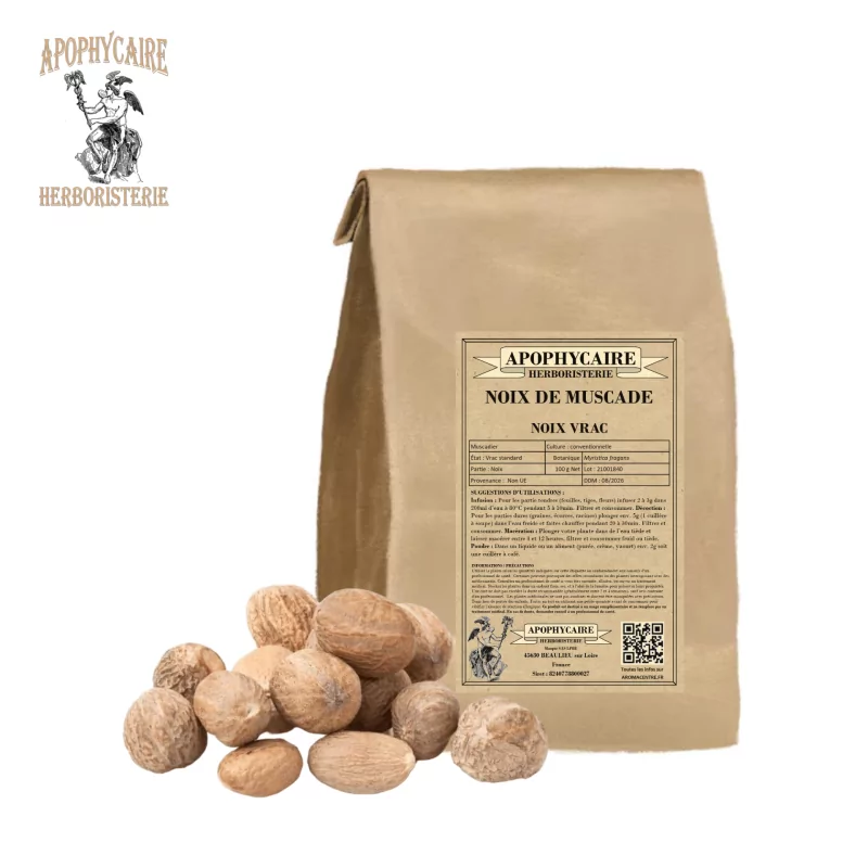 Loose Nutmeg (Myristica fragans) - Apothecary