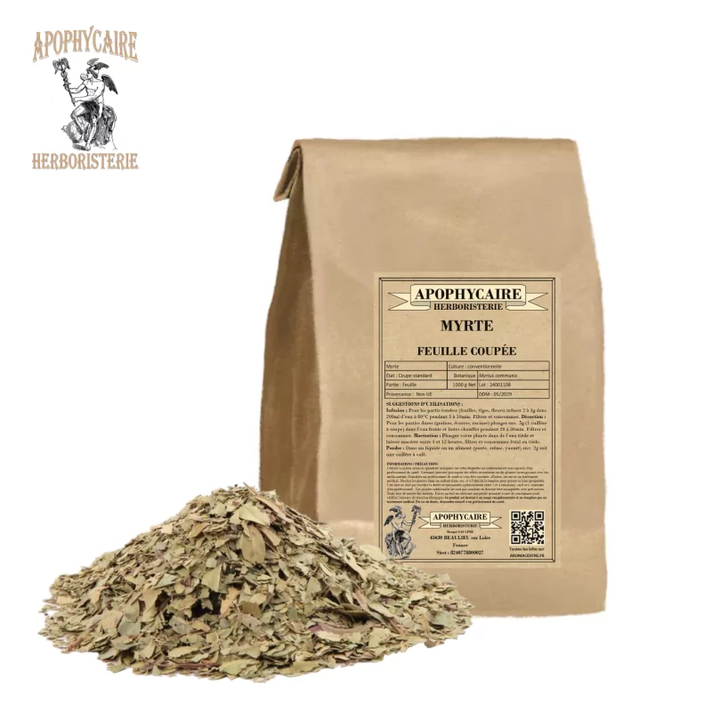 Schnittblattmyrte (Myrtus communis) – Apotheker