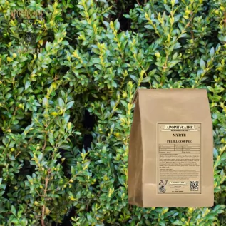 Cut-leaf myrtle – Myrtus communis | Apothecary