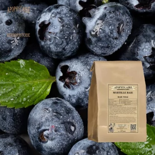 Toplu yaban mersini – Vaccinium myrtillus | Apophycarius