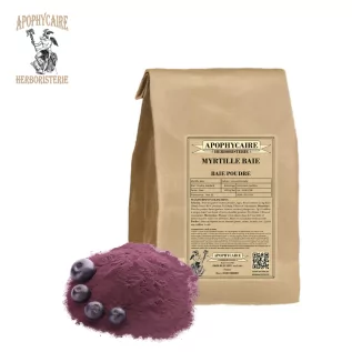 Blueberry berry powder – Vaccinium myrtillus | Apophycaire