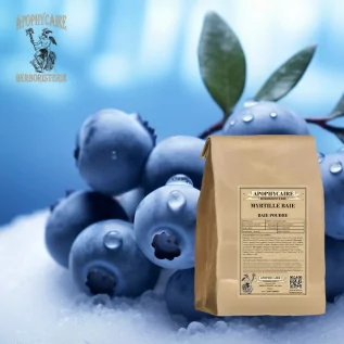 Blueberry berry powder – Vaccinium myrtillus | Apophycaire