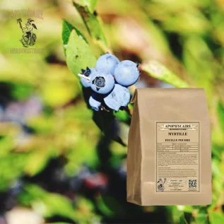 Heidelbeerblattpulver – Vaccinium myrtillus | Apophycarius