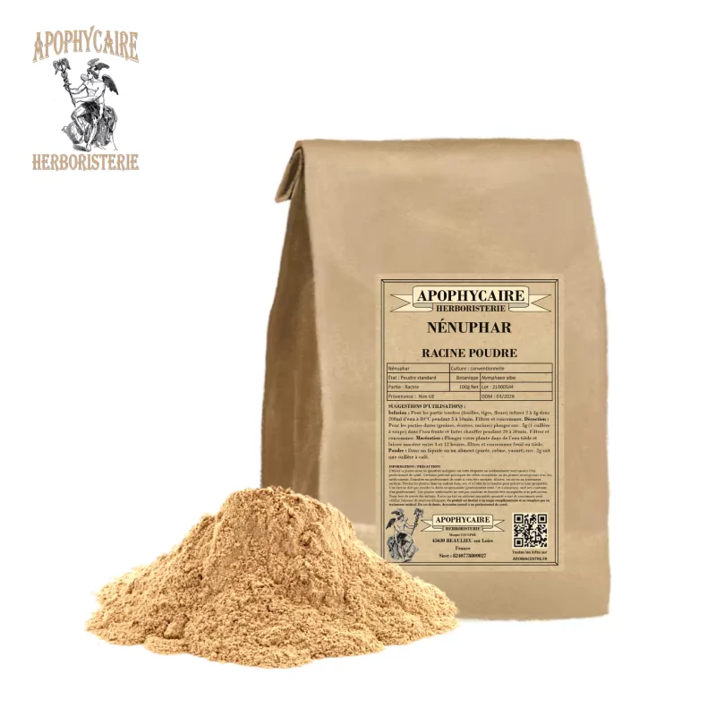 Water lily root powder (Nymphaea alba) - Apophycaire