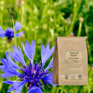 Schwarzkümmelsamen lose – Nigella sativa | Apophycarius