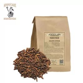 Toplu fındık kedicikleri – Corylus avellana | Apophycarius