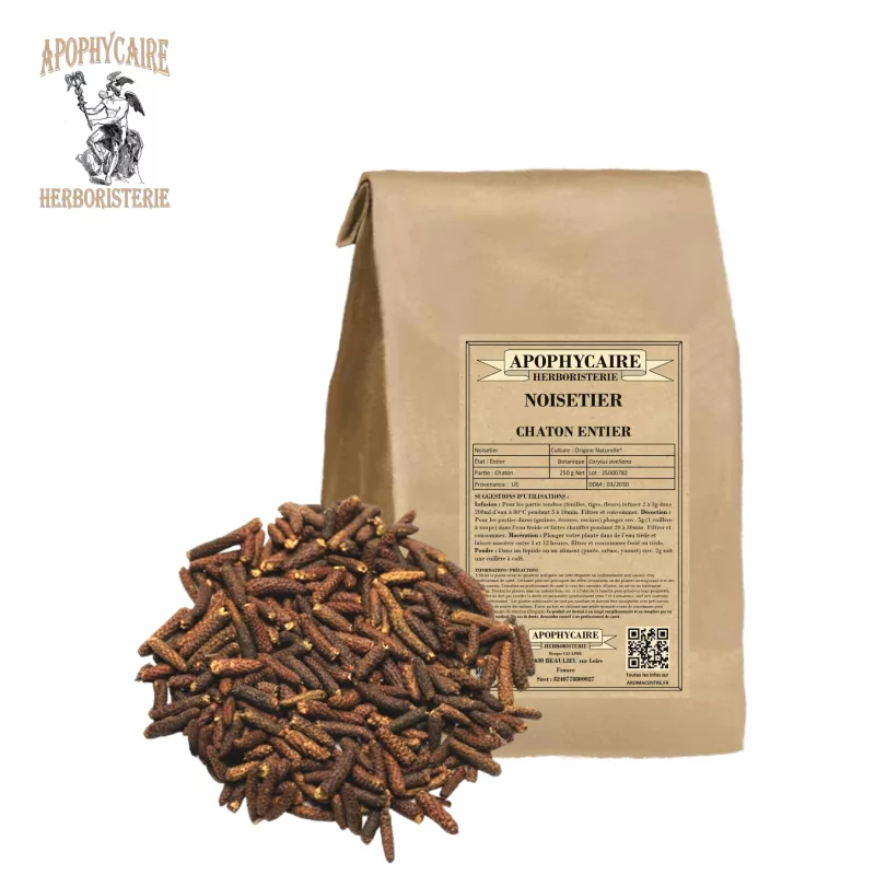 Fındık kedicik gevşek (Corylus avellana) - Apophycaire Fındık kedicik gevşek (Corylus avellana) - Apophycaire