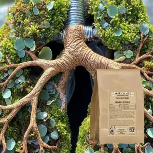 Amento de avellano a granel – Corylus avellana | Apophycarius