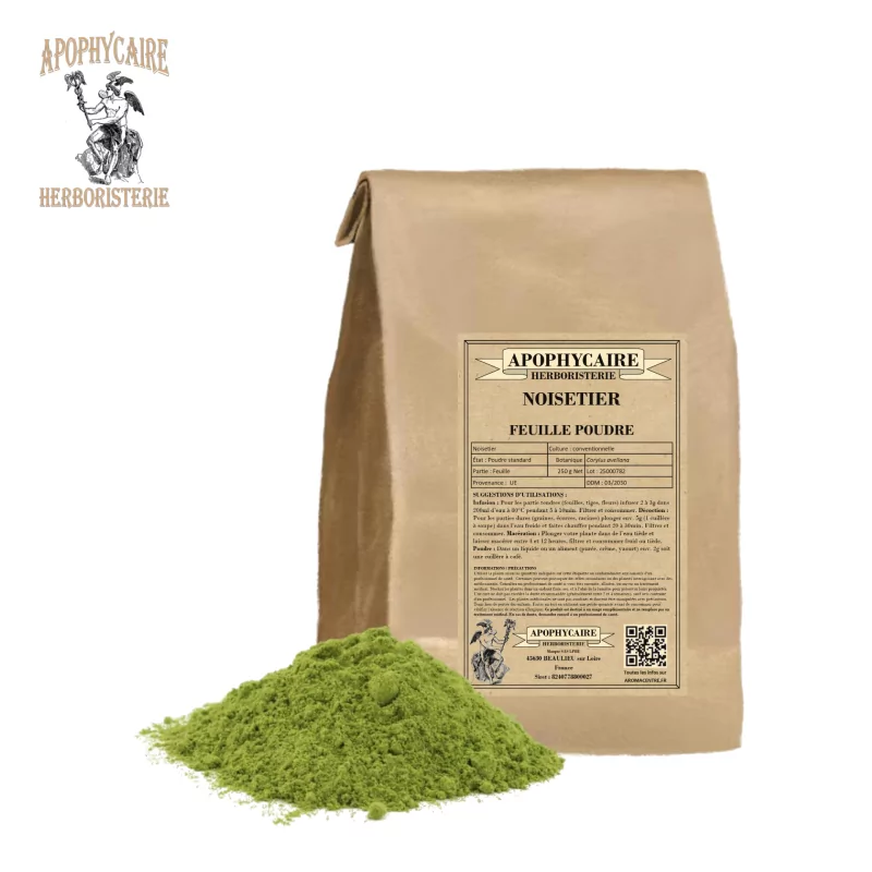 Noisetier feuille poudre (Corylus avellana) - Apophycaire