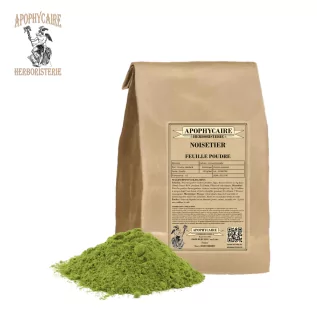 Hazel leaf powder – Corylus avellana | Apophycaire