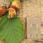 Haselnussblattpulver (Corylus avellana) – Apophycaire