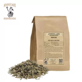 Walnut cut leaf – Juglans regia | Apothecary