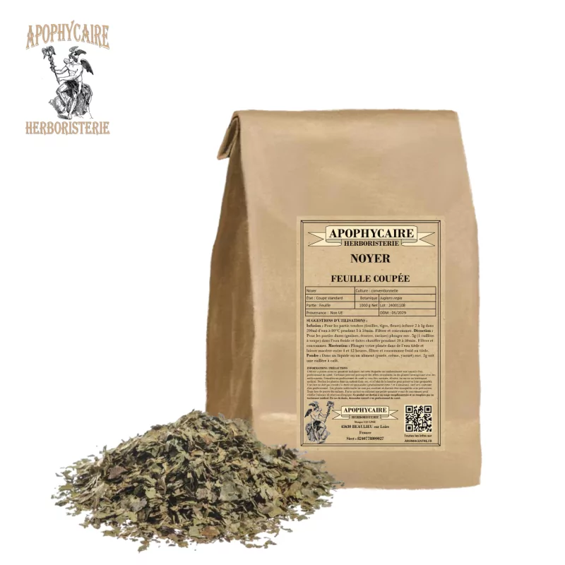 Kesilmiş yapraklı ceviz (Juglans regia) - Eczacı Kesilmiş yapraklı ceviz (Juglans regia) - Eczacı