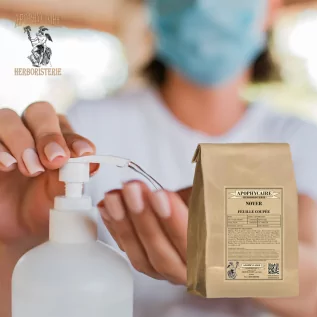 Geschnittene Walnuss (Juglans regia) – Apotheker