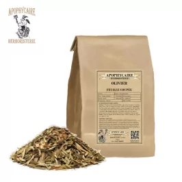 Kesik yapraklı zeytin ağacı – Olea europaea | Apophycarius