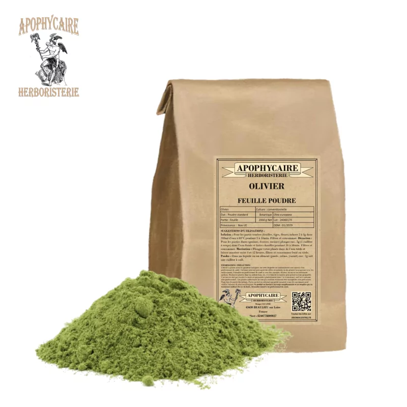 Olive leaf powder (Olea europaea) - Apophycaire