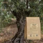 Olive leaf powder (Olea europaea) - Apophycaire