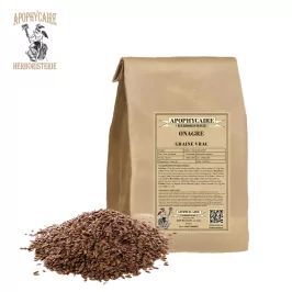 Evening primrose loose seeds – Oenothera biennis | Apothecary