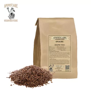 Evening primrose loose seeds – Oenothera biennis | Apothecary