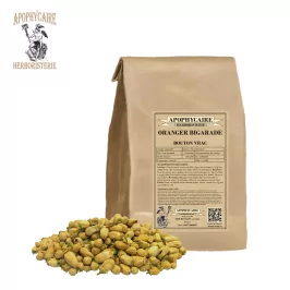 Bitterorangenblütenknospe – Citrus aurantium var. Amara | Apophycarius