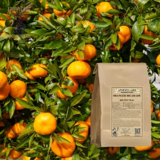 tisane Oranger bigaradier bouton - Apophycaire