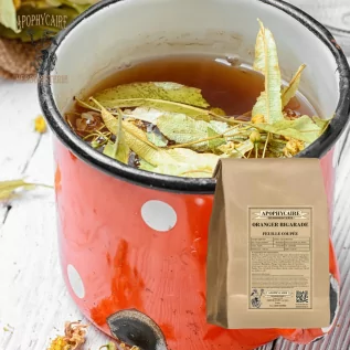 Oranger bigaradier feuille calmante et digestive - Apophycaire