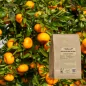 Bitterorangen-Schnittblatt (Citrus aurantium var. amara) - Apophycaire