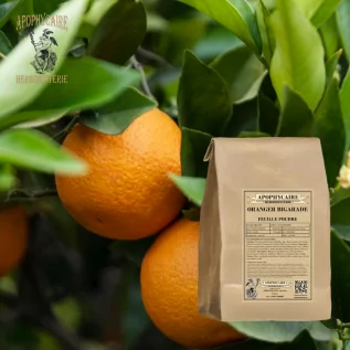 Polvo de hojas de naranja amarga – Citrus aurantium var. amara | Apophycarius