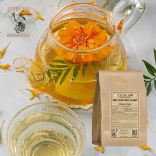 Gevşek yapraklı acı portakal ağacı (Citrus aurantium var.amara) - Apophycaire