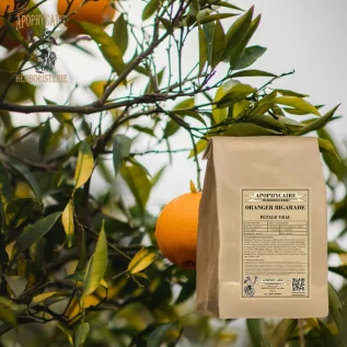 Gevşek yapraklı acı portakal – Citrus aurantium var. amara | Apophycarius