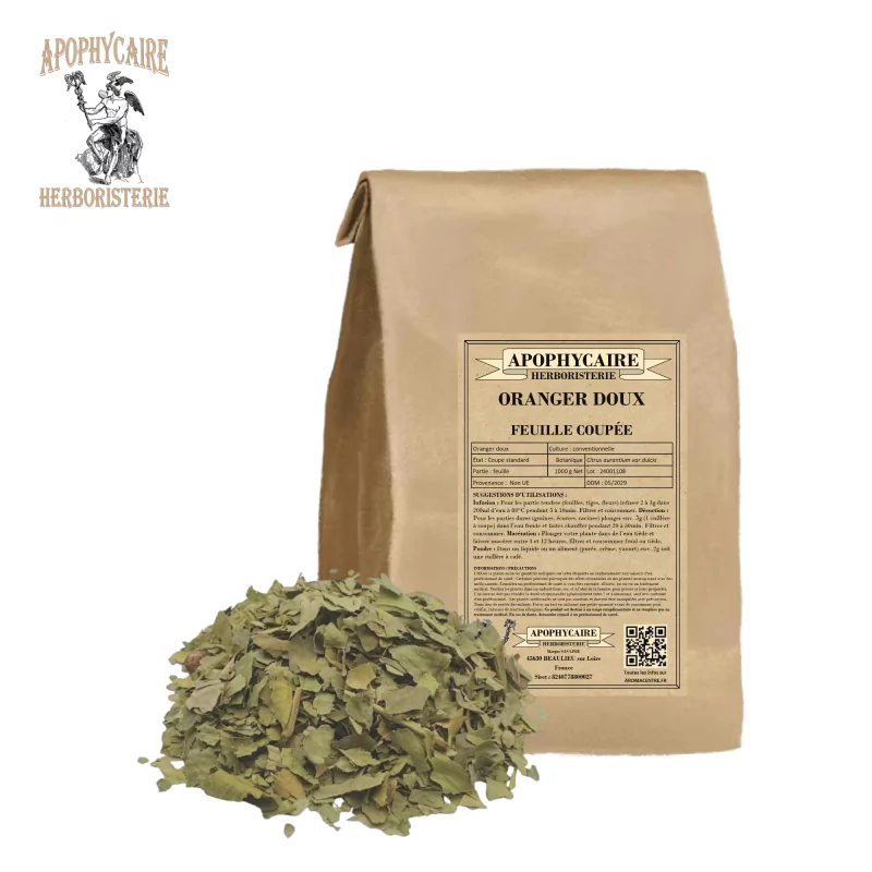 Cut-leaf orange (Citrus aurantium var.dulcis) - Apophycaire