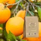 Polvo de hoja de naranja (Citrus aurantium var.dulcis) - Apophycaire