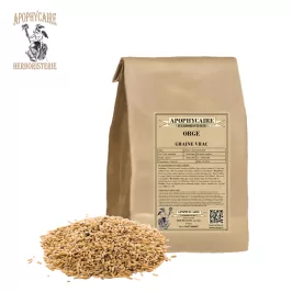 Barley seed bulk – Hordeum vulgare | Apophycaire