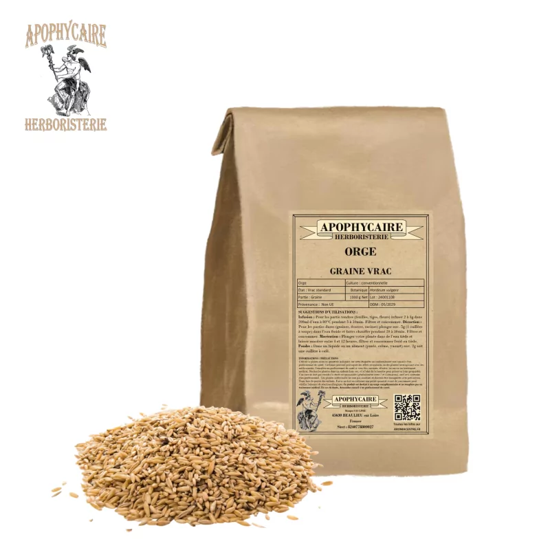 Semilla de cebada (Hordeum vulgare) - Apophycaire