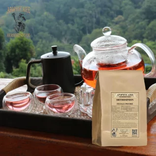 Ortosifón - Polvo de té de Java (Orthosiphon stamineus) - Apophycaire