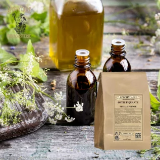 Isırgan otu yaprağı tozu – Urtica dioica | Apophycarius