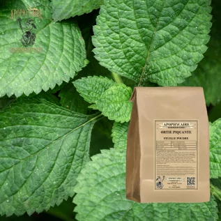 Stinging nettle leaf powder – Urtica dioica | Apophycaire